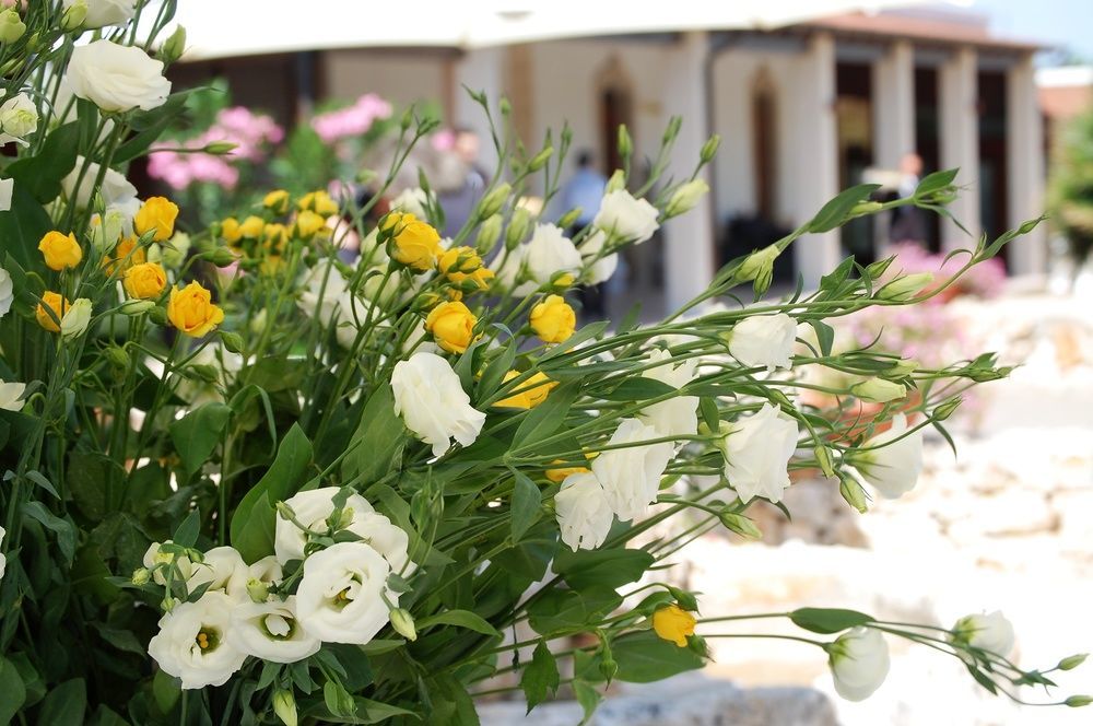 Hotel Masseria La Grande Quercia à Mottola Extérieur photo